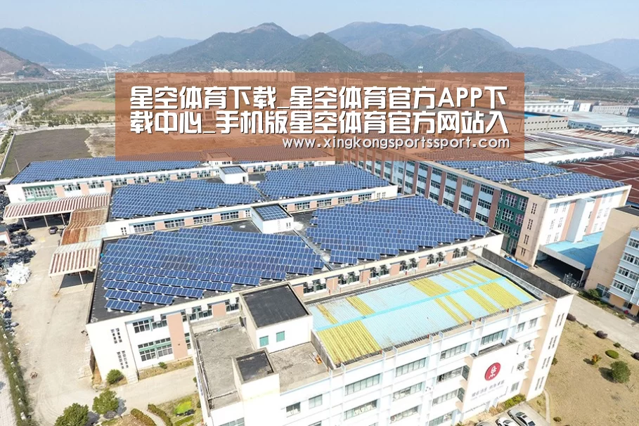 案例展示二