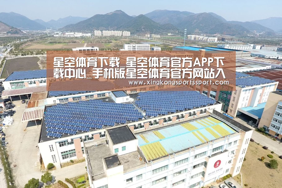 案例展示四