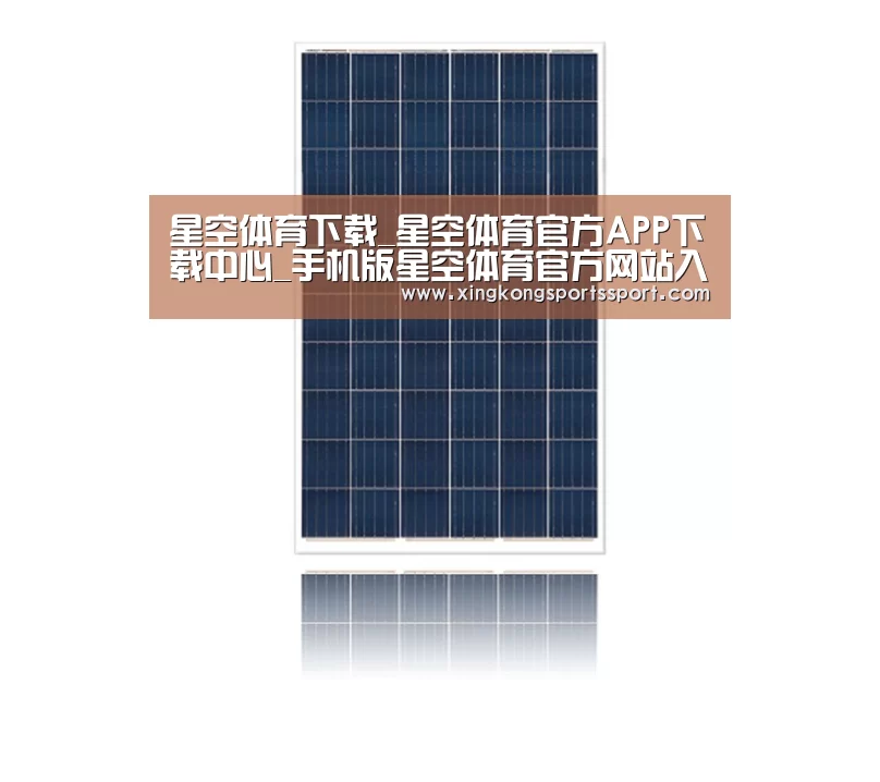 产品名称四