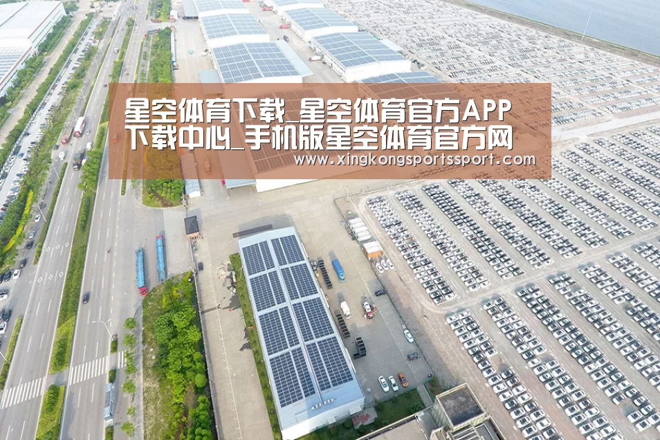 案例展示一
