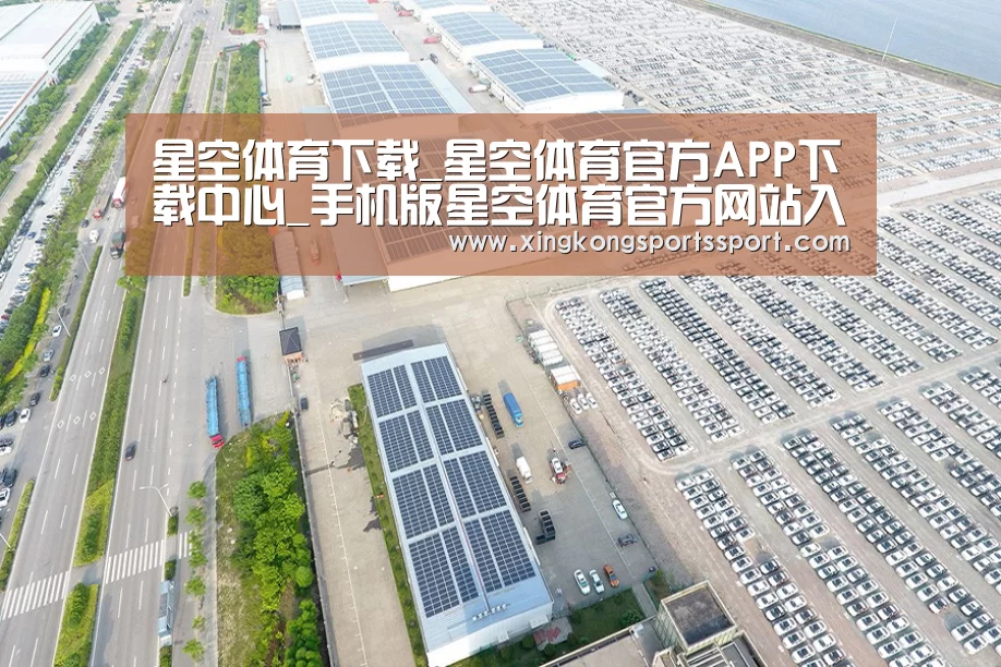案例展示一