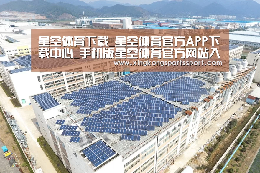 案例展示四
