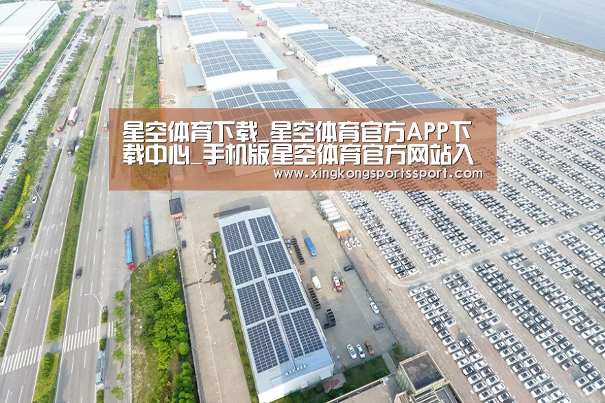 案例展示四