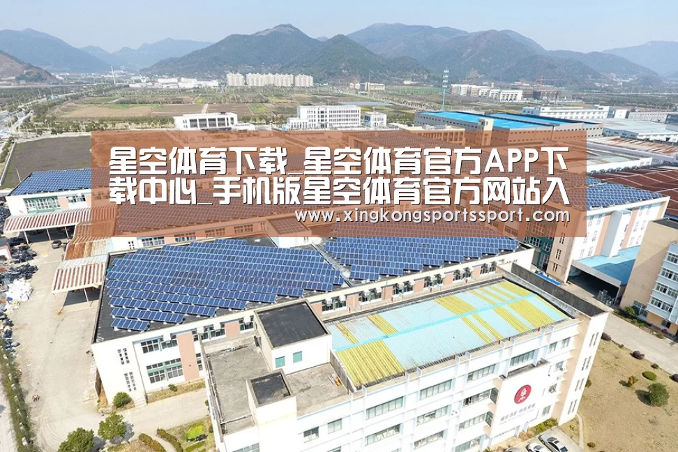 案例展示三