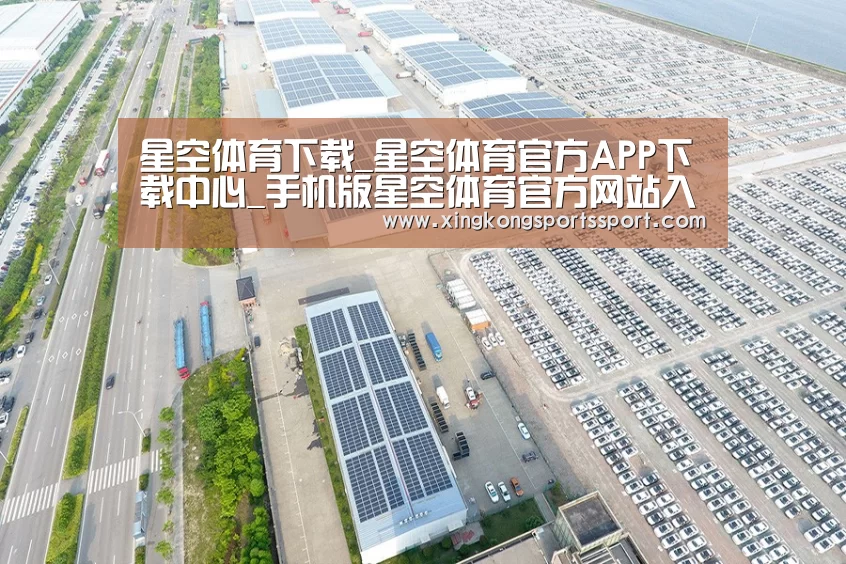 案例展示二