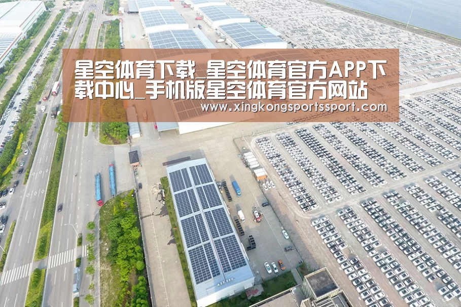 案例展示三