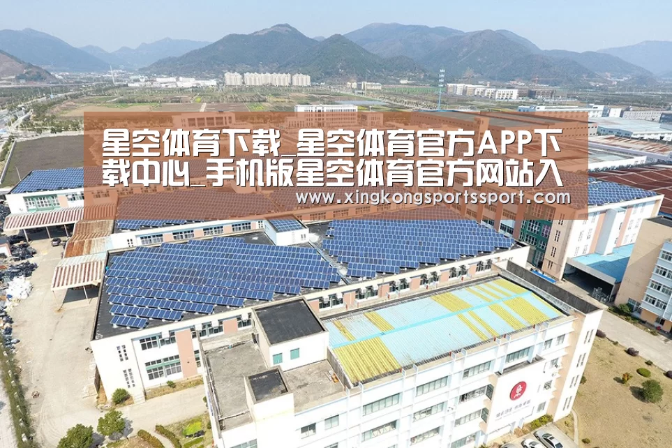 案例展示三