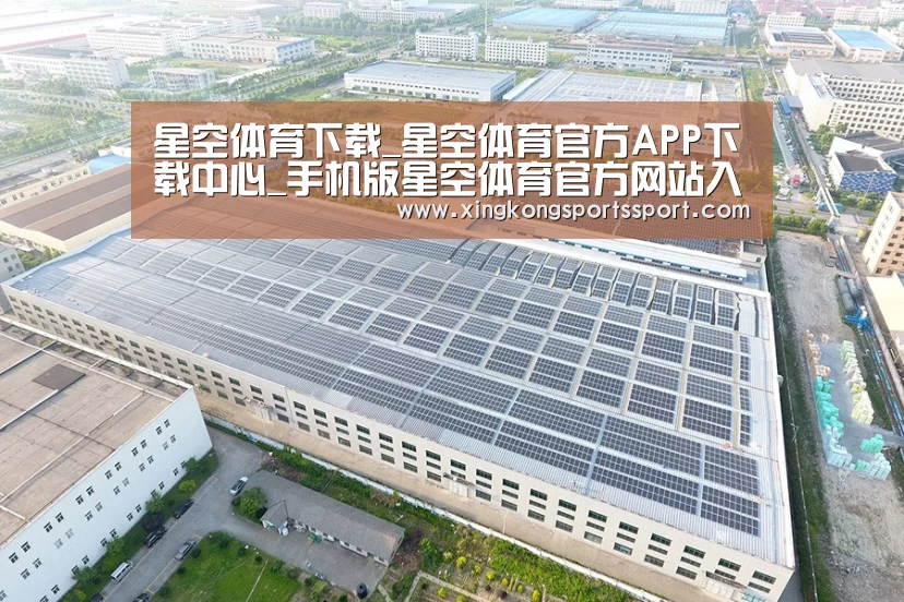 案例展示四