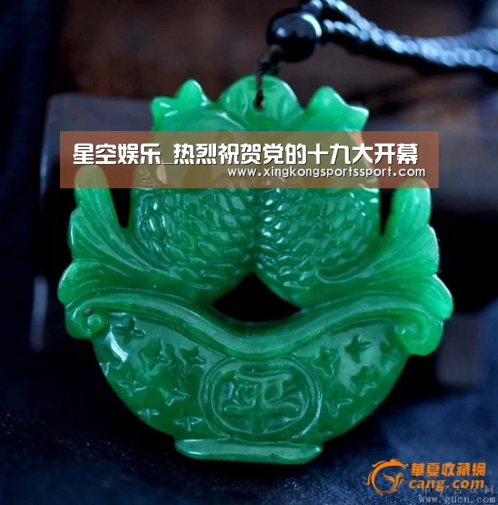 星空娱乐_热烈祝贺党的十九大开幕(图2)