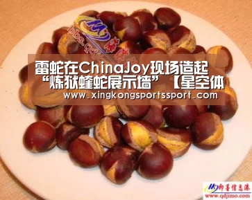 雷蛇在ChinaJoy现场造起“炼狱蝰蛇展示墙”【星空体育地址】(图1) 星空体育地址