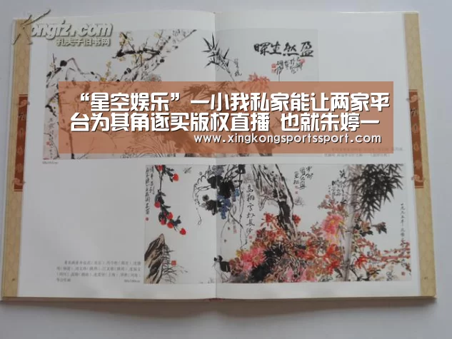 “星空娱乐”一小我私家能让两家平台为其角逐买版权直播 也就朱婷一人了(图1)