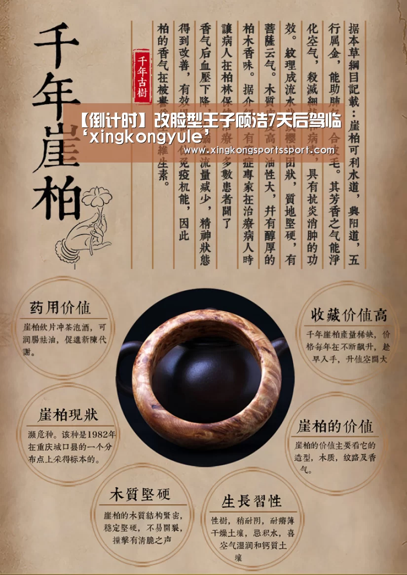 星空体育地址