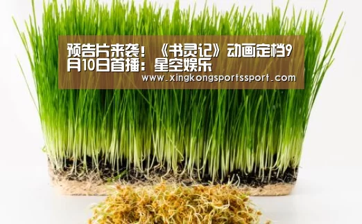 预告片来袭!《书灵记》动画定档9月10日首播:星空娱乐(图2) 星空体育
