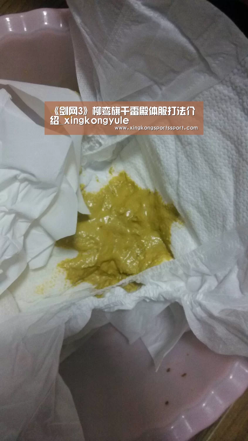 《剑网3》柳鸾旗千雷殿体服打法介绍_xingkongyule(图1) 星空体育