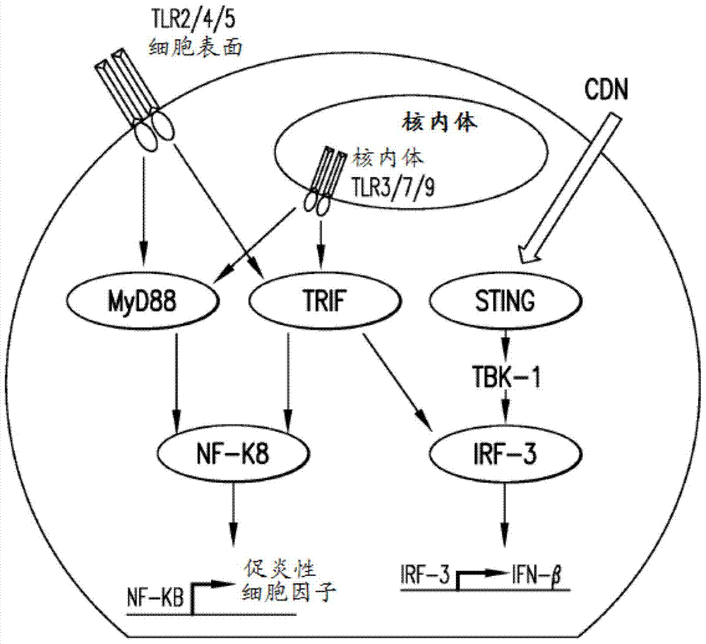 《剑网3》柳鸾旗千雷殿体服打法介绍_xingkongyule(图2) 星空体育地址