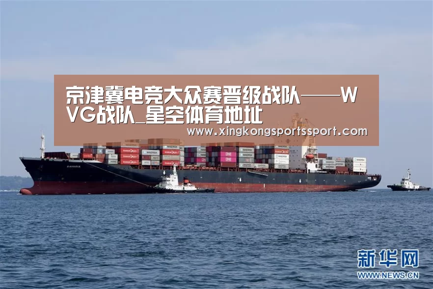 京津冀电竞大众赛晋级战队——WVG战队_星空体育地址(图2) 京津冀电竞大众赛晋级战队——WVG战队_星空体育地址(图2)